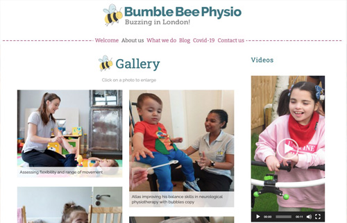 Bumble Bee Physio, London